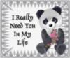 I Really Need You In My Life -- Cute Panda