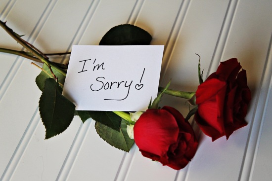 I'm Sorry! -- Red Roses