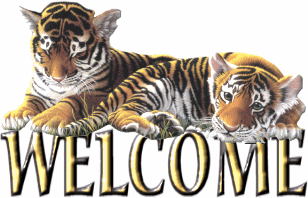 Welcome -- Tigers