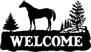 Welcome -- Horse