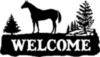 Welcome -- Horse