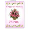Happy Birthday Mom!