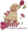 Hello! Thanks for adding me! -- Cute Puppy