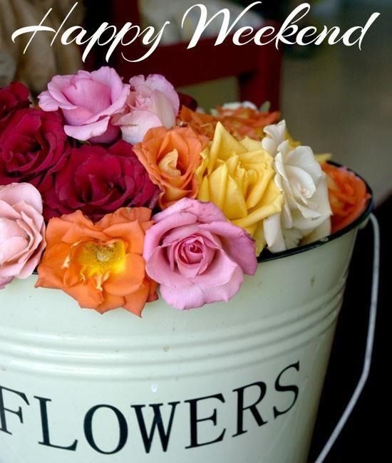 Happy Weekend -- Flowers