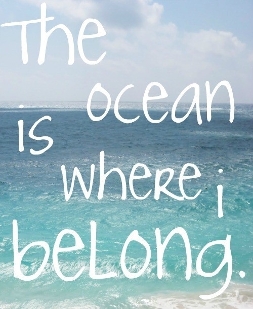The ocean is where belong.