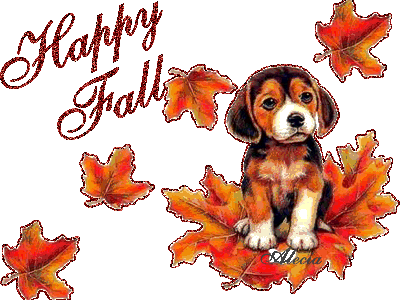 Happy Fall -- Cute Puppy