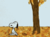 Autumn -- Snoopy