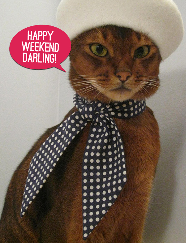 Happy Weekend Darling!