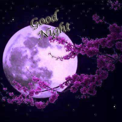 Good Night -- Purple Moon