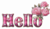 Hello -- Pink Flowers