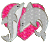 Dolphins and Heart