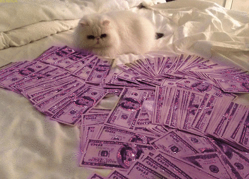 Fluffy Cat and Pink Sparkle Money