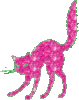 Pink Cat