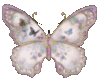 Butterfly Glitter
