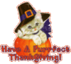 Have A Purrfect Thanksgiving!