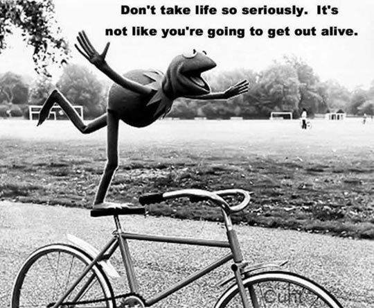 Don't take life so seriously. It's not like you're going to get out alive.