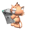 Cat reads newspaper