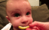 Baby eats lemon LOL