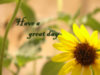 Have A Great Day -- Sunflower
