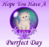 Hope You Have A Purrfect Day
