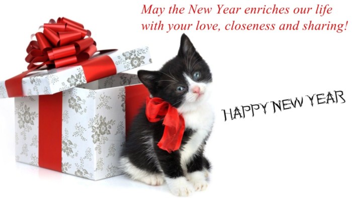 Happy New Year Greetings -- Cute Kitten