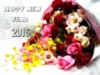 Happy New Year 2016 -- Flowers