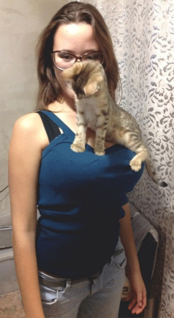 Funny Boobs and Kitten