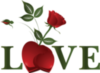 Love -- Red Rose