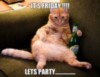 Funny Cat: It's Friday! Let's Party!