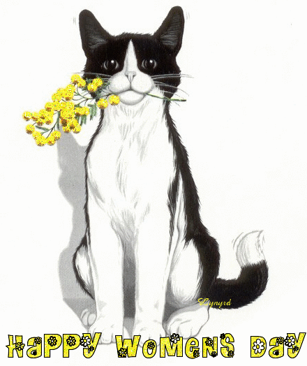 Happy Women's Day! -- Cat with Flowers
