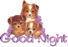 Good Night -- Cute Puppies