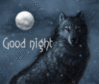 Good Night -- Wolf and Moon