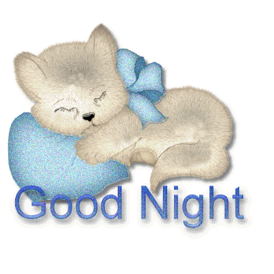 Good Night -- Cute Animal