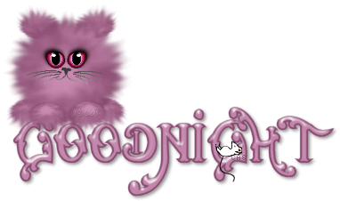Good Night -- Purple Cat