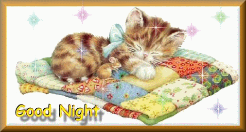 Good Night -- Cute Cat