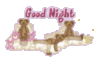 Good Night -- Teddy Bears