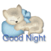Good Night -- Cute Animal