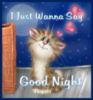 I Just Wanna Say Good Night -- Cute Cat