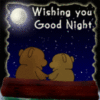Wishing You Good Night 