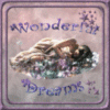 Wonderful Dreams 
