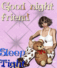 Good Night Friend Sleep Tight