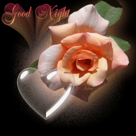 Good Night -- Heart and Flowers