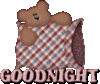 Good Night -- Teddy Bear with Pillow
