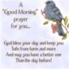 A "Good Morning" prayer for you... 