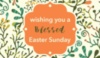 Wishing you a Blessed Easter Sunday