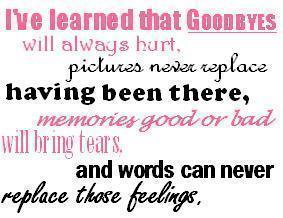 I've Learned That Goodbyes Will Always Hurt