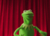 Kermit the frog