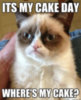 Grumpy cat: Its My Cake Day