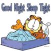 Good Night Sleep Tight -- Garfield