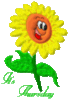It's Thursday -- Sunflower